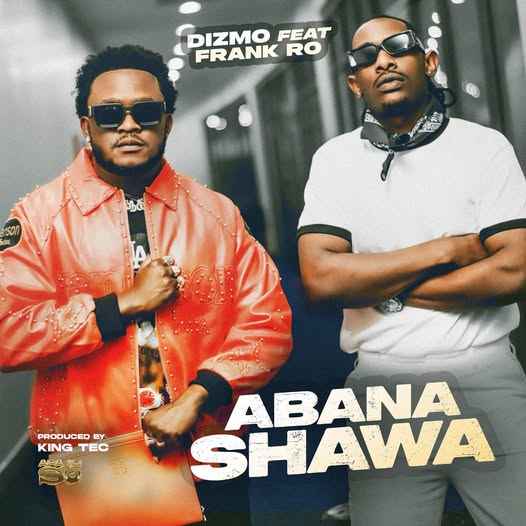 Dizmo Ft Frank Ro – Abana Shawa