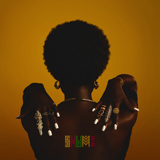 K.O Ft Blue Pappi – Shumi