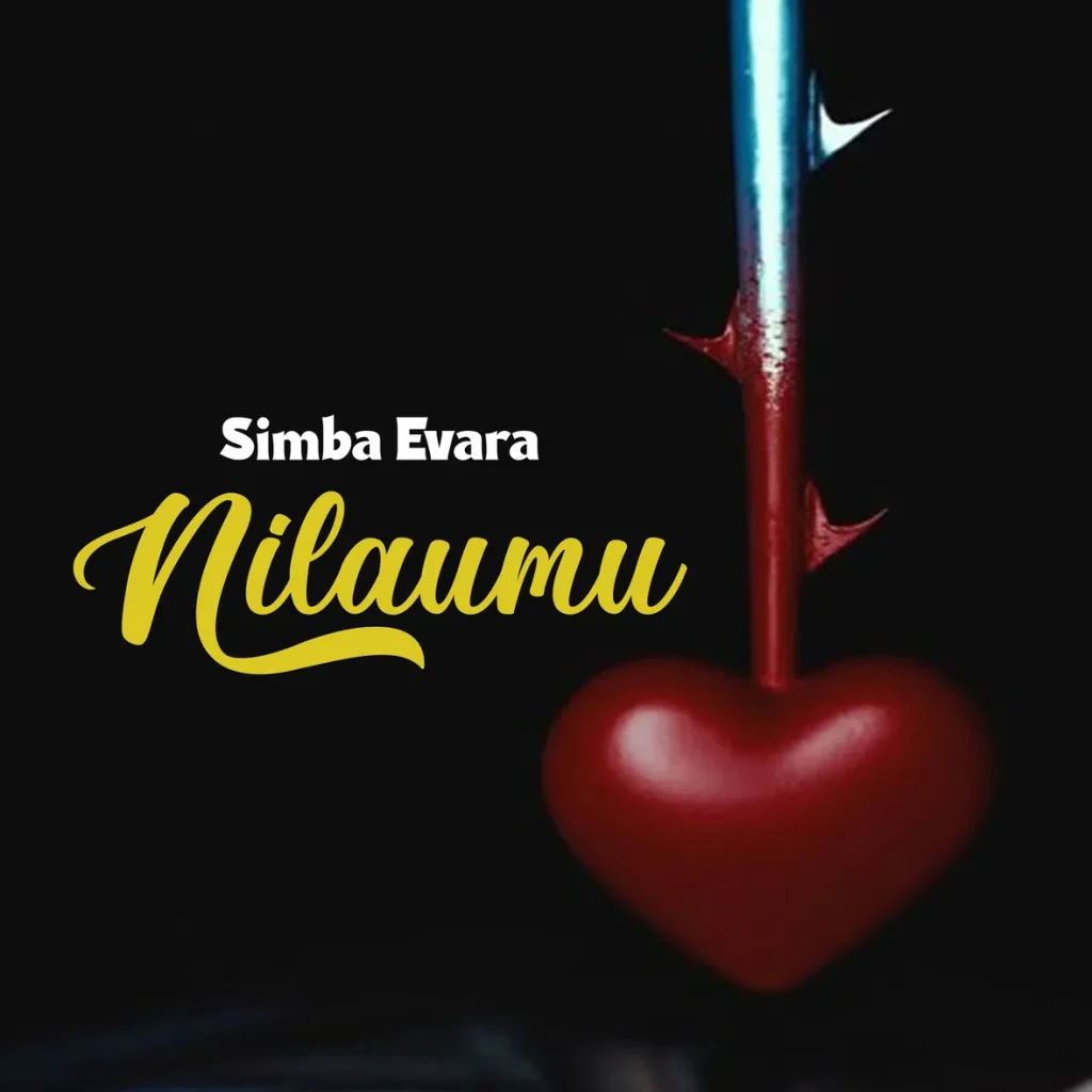 Simba Evara – Nilaumu